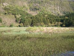 次は油井の池へ。鳥の鳴き声が少し聞こえました。
