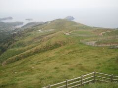 途中、馬も見かけつつ赤ハゲ山に到着。馬はそれ以降は目にしませんでした。
