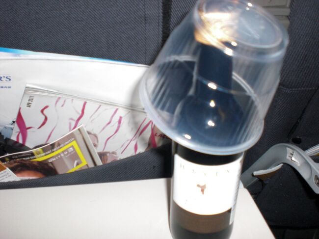 今回うっかり友人のＥＳＴＡの事を忘れてて　ユナイテッド航空のチェックインで気がついて言ったところ　インターネットですぐやってとの事。　ところがインチキ商売のサイトにひっかかりそうになったり大使館のウェブのページの調子がおかしくてなかなか登録できない。<br /><br />隣にいる青年も同じ状況みたいだけど　とっても暗い表情なので話してみたらなんと　ＥＳＴＡができなくて飛行機乗れなかったとのと。。。焦って無理やり入力をつづけたところなんとか最後は登録完了。ほっとした機内ですぐに赤ワインを注文。　飛行機恐怖症の私は今回もワイン３本とビール１本飲んでしまいました。いつもより揺れてたみたいでした。