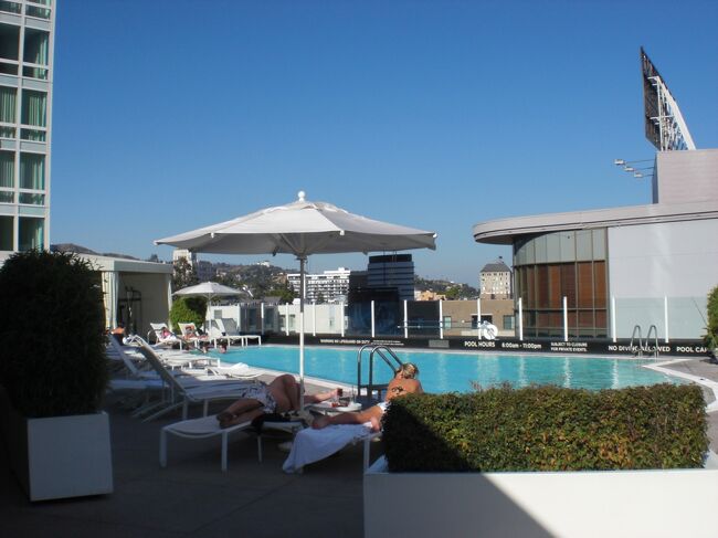 ホテルのプール。みなさん日焼けに勤しんでるようでした。お水が少し暖かいので夜に入ったところ気分がよかったです。