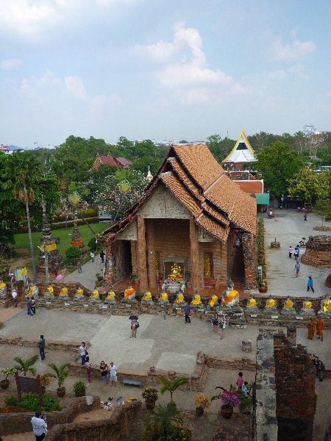 の、のぼってやった…！！ゼェハァ…！！！！！