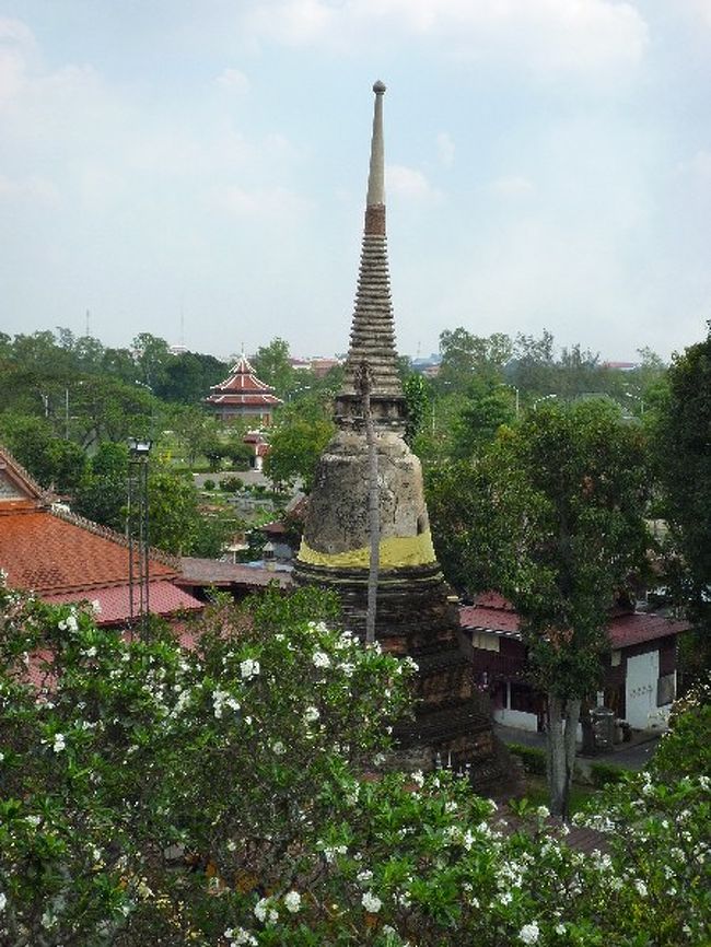 白い花と廃墟（…とも違うけど）との対比がなんかよかったです。 