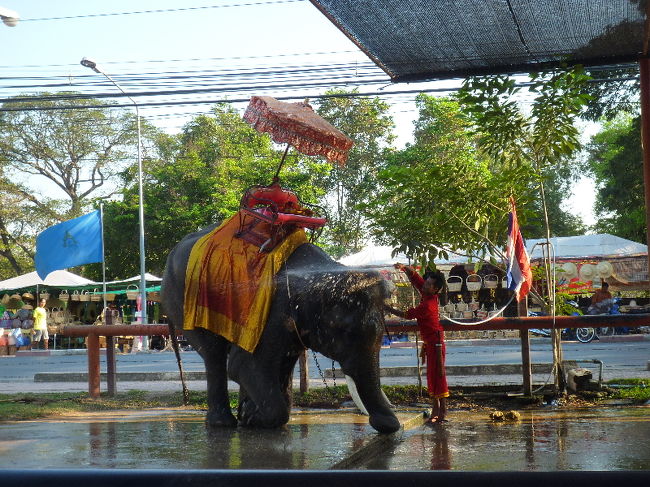 水を浴びてリフレッシュー！！ <br />ちゃんと跪いて、水を浴びてます。かしこい…！！！ <br /><br />ゾウに乗る前、少し並んだのですが、前に並んでいた女の子（英語圏だったけどどこの子だろう…）がものすっっっっっごく可愛かったです･･･！！ちょっと前のガーナのCMに出ていた女の子を超える可愛さでした･･･！！伝わりづらいな･･･この表現･･･！！ <br />少し暗めの茶色のふわふわした髪で、水色の可愛いワンピースきて、目もくりくりしてて本当かわいかったんだよぉぉぉぉぉおおおお！！！！ <br />『…お母さん、私、あの子連れ去りたい（ﾊｧﾊｧ』言ってましたよ！！！ <br />気持ち悪くごめんね！！！！！（← 