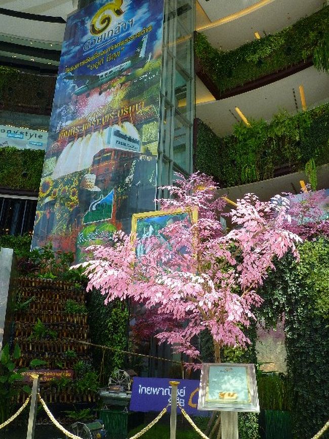 10分ちょっとでSiam駅到着！！ <br />日本で言うところの渋谷＆原宿が駅南、駅北は高級志向の巨大デパートがあるから…銀座？東京のことよくわからないのにたとえようとするからこうなる…。<br /><br />とりあえず、涼を求めてサイアムパラゴンというデパートへ入ってみる。 <br />入ったらいきなり吹き抜けどーーん！！ <br />桜？どーーーん！！！ <br />東南アジアチックな庭園？どーーーーん！！！！ <br />水もじゃぶじゃぶ流れ出してました。 <br />私以外にも写真撮ってる人たくさんいましたｗ <br /><br />で、色々行きたいと思っていた店をチェックしてきていたものの、店がバカでかい…！！しかも、フロア案内図みたいなのはあるものの、日本みたいにその階にある店だの、フロアガイドだの全然ない…！！ <br />あんまり母親を歩かせるのもな〜と思っても、店を探すには歩くしかなく…。 <br />「うーーん」とガイド本を見つつ悩んでいる私を見て、母は何を思ったのでしょう…。 <br />突然、予想外のことを言われました。 <br /><br />「ねぇ…誰かに聞けば？」 <br /><br />…え？ｗ <br />あの…ここ、日本じゃないんですけどｗｗｗｗｗ <br /><br />私も英語がちゃんと出来るわけでもないし、それ以前に店員さんが英語で質問してわかるかどうかも保証無いのに…。 <br />その後も何度か迷った都度に、タイにいるということを半分忘れている母から「誰かに場所聞いたら」発言が繰り返されました…ｗｗｗ 