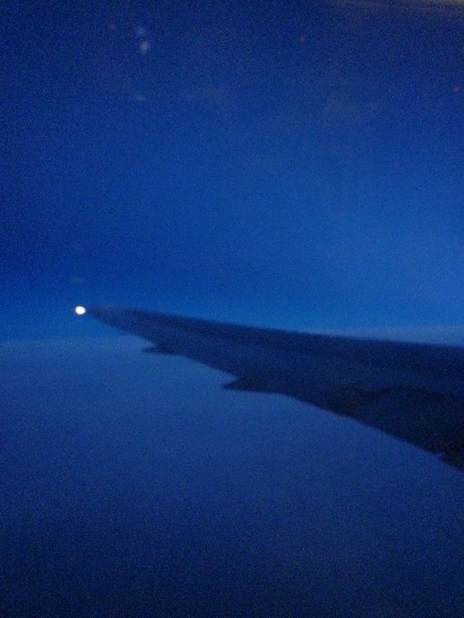 まだ暗いな〜と思っていたら 