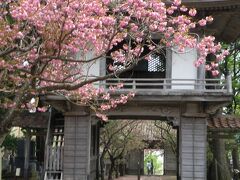 集合場所へ戻る際に光善寺というお寺を見つけたので参拝。
境内は大変立派である。