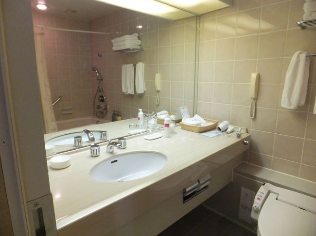 このお部屋には3人で泊まったので、部屋専用のドライヤーともう一つドライヤーがあらかじめ置いてありました。<br />