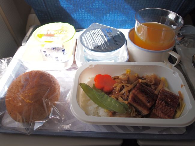 今回は大韓航空の乗り継ぎ便を利用。まずは、韓国へ向かいます。<br />短距離路線だからですかね。食事は一種類のみでした。<br />…魚がダメなのに、よりによって魚only…うぐぐぐぐぐ…<br />魚をよけてご飯だけ食べました。味つけは濃い目だけどおいしかったです（＾＾