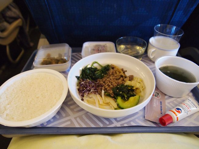 韓国着いて、1時間ちょいで乗り換え〜。本当、降りて→ゲート近く行って→ちょっと座って即搭乗…って感じでした。<br /><br />本日2回目の機内食〜。大韓航空の長距離路線に出るとは聞いていたビビンパをチョイス。<br />一緒にコチュジャンがついてきて辛さの調整ができます。私は味見しつつ投入したんですが、隣の韓国人ファミリーは一気に搾り出して使い切ってました…。さすが…。<br />でかいきゅうり？みたいなのが入っていたんですが、それがまた美味しかったです。<br />韓国料理はやっぱり口に合いますね。