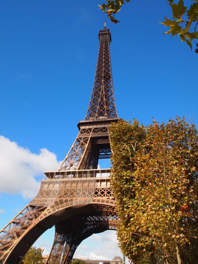 ちょと見上げるようにしてエッフェル塔。