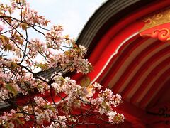 9：30　太皷谷稲成神社

津和野城の鬼門を守っています。
