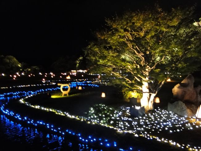 後楽園はライトアップされていました。