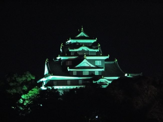 岡山城の夜景