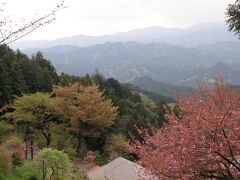 関八州見晴台へ向け登山中に見えた眺望（表紙写真）。季節の変わり目のせいか、色彩豊かな眺め。