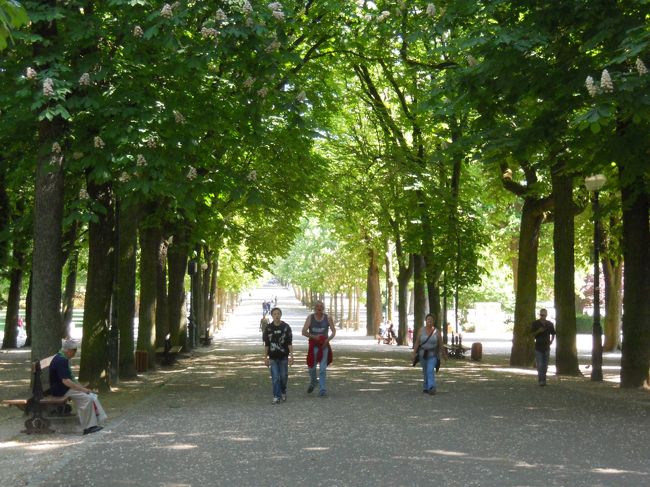 ペピニエール公園内のジョルジュ・シュプフェール通り