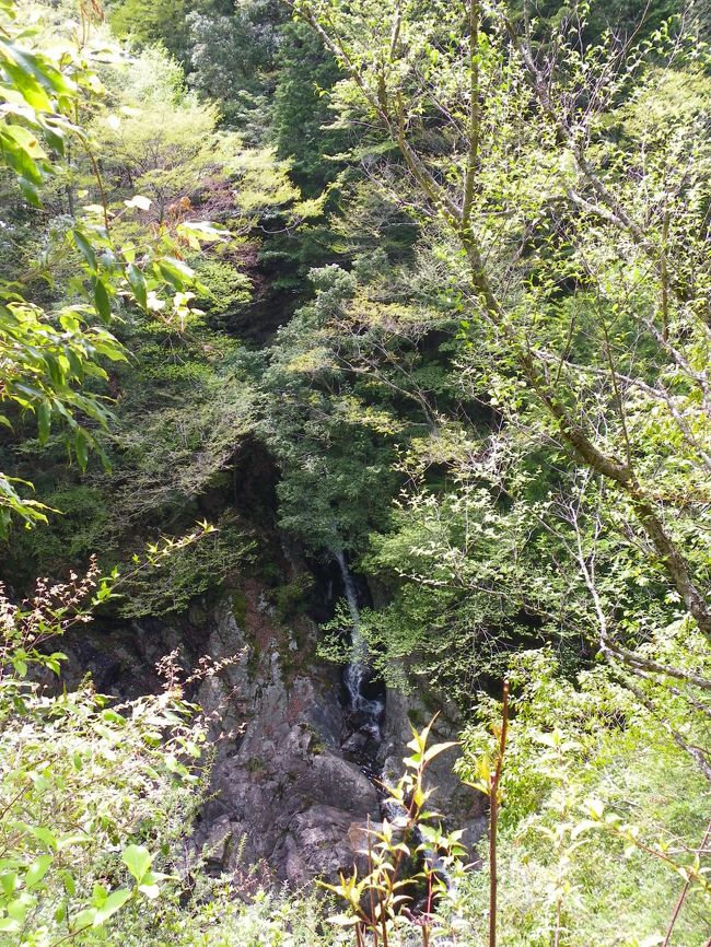 旭川上流の滝群(二重滝・布引の滝・出合滝)◆奈良県十津川村の滝めぐり【その2】
