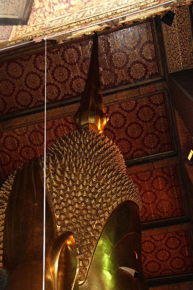 頭のつの長いですね（´ω｀；）