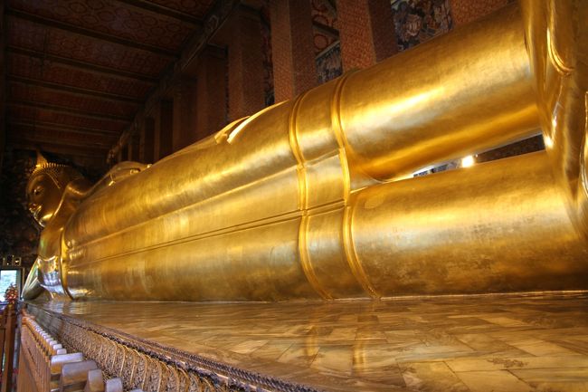 そして長い〜<br />写真に収めにくかった