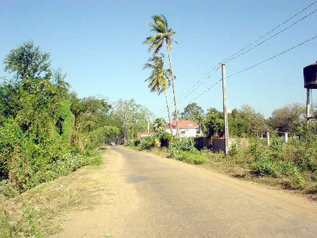 メコン沿いにローカルな道を南方面に進みます。