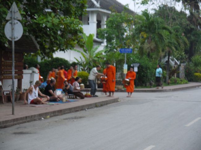 登場なさいました。