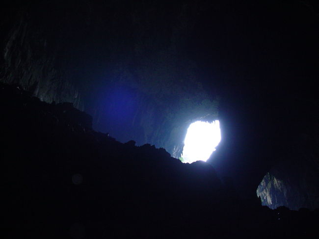 やってきたぜ ２００６ ボルネオ島 自然がいっぱい 見れたぜ ディア洞窟から飛び立つドラゴンフライ ラング洞窟の鍾乳石 ｉｎ グヌン ムル国立公園 グヌン ムル国立公園周辺 マレーシア の旅行記 ブログ By とらっちさん フォートラベル