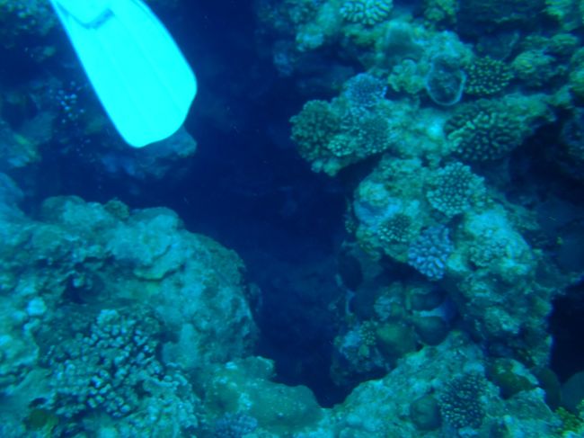 いきなり一本目です。<br /><br />写真の穴の中に入っていきます。