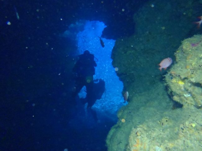 洞窟の出口が見えると魚が渦を巻いてます。