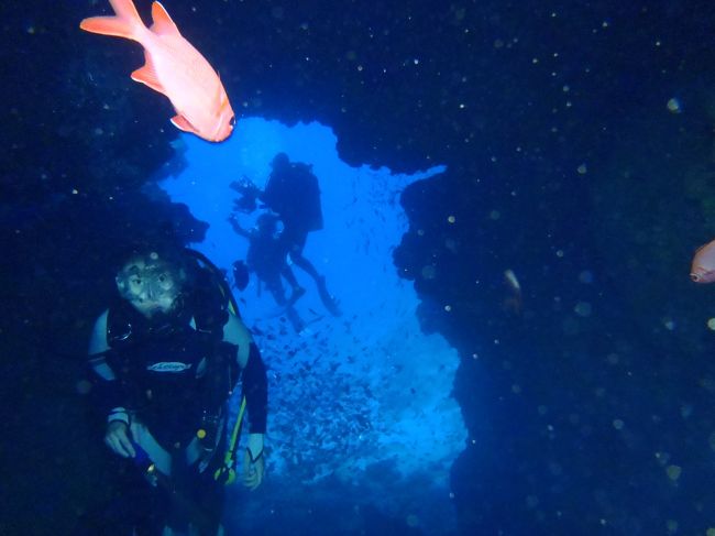 フラッシュ炊くと浮遊物が<br />写っちゃいますね^^;
