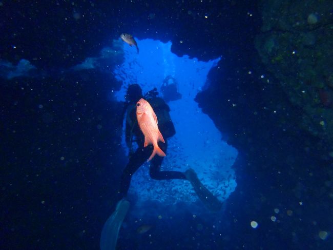 青の真ん中に上手い事赤が！