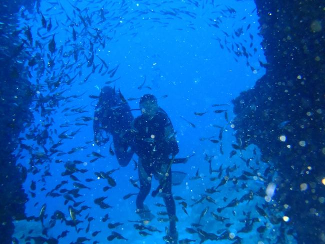 魚のヴェールが！<br />↓0:31<br />http://www.youtube.com/watch?v=5eEK85z6gzg<br /><br />ちなみにピースしてるのは動画を撮ってるって<br />知らなかったためです(笑)