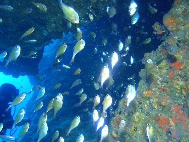 とっても綺麗。