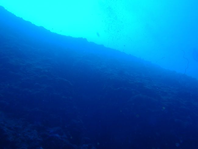 ダイバーが吐いた空気が出てきてます。