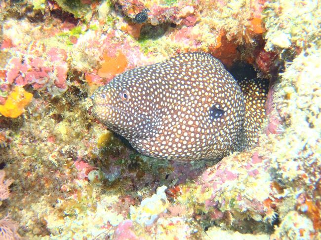 今回はちゃんとピントが合ったかな？