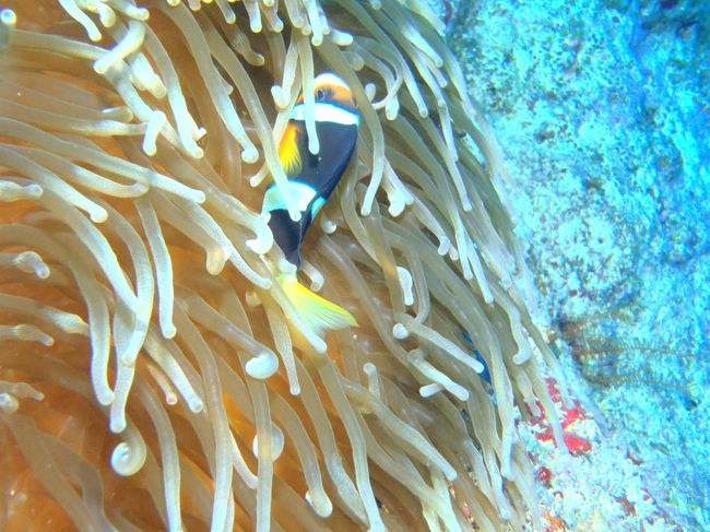 この子は恥ずかしがり屋^^;