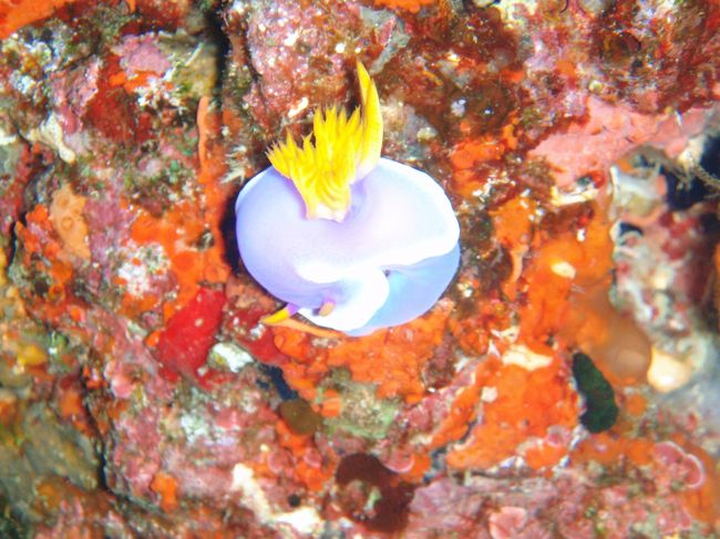 こちらは奥様撮影