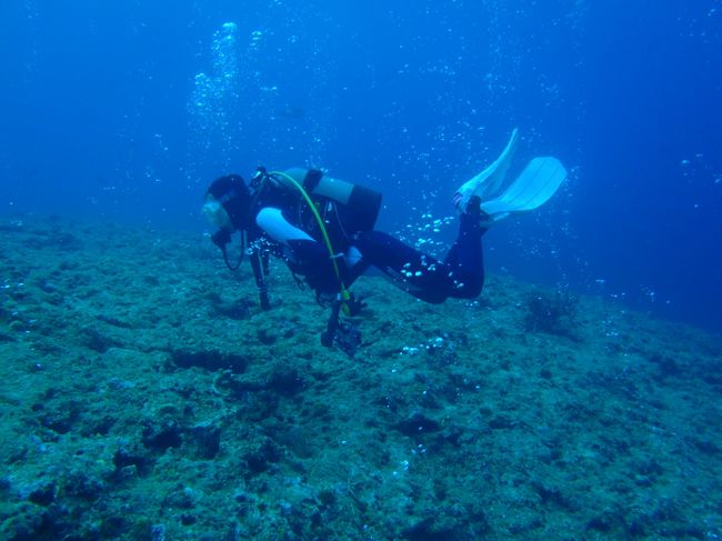 泡のヴェールが凄い<br />↓0:17<br />http://www.youtube.com/watch?v=abng3udS8_k