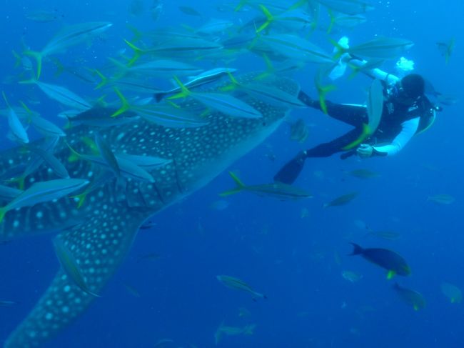 本当にしつこいし(笑)