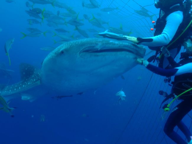 奥さんちゃっかりお触り中(笑)