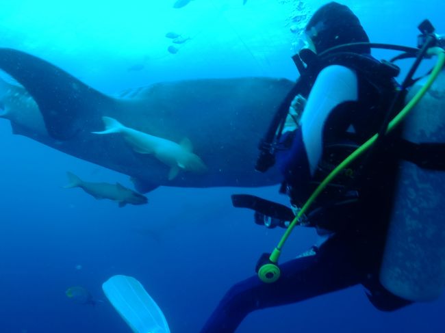 本当に近いし^^;