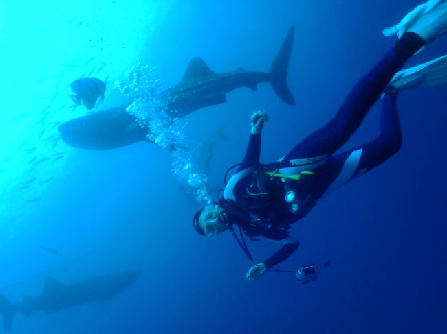 こっちにも奥さん(笑)