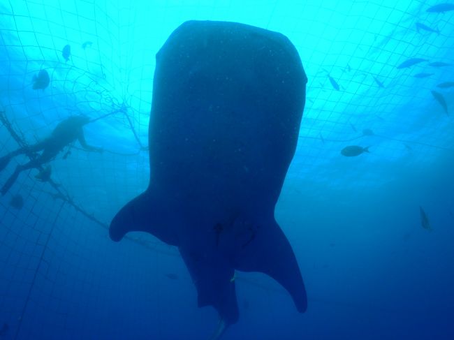 動画撮影禁止<br /><br />左上でスタッフが監視してます。