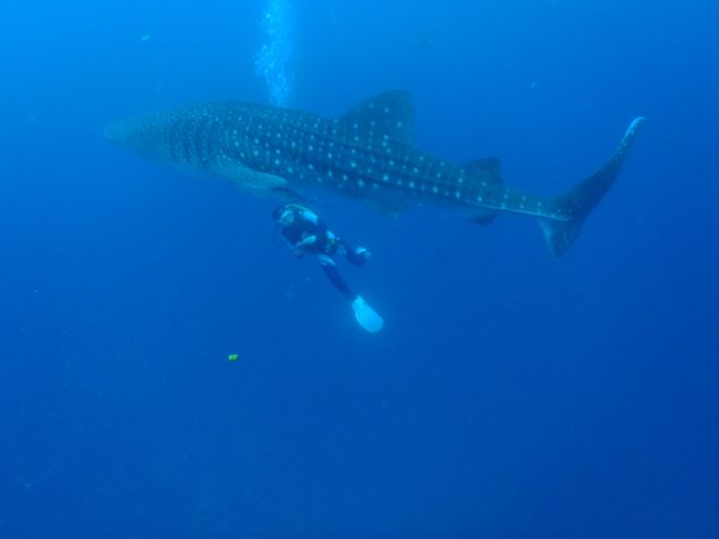 奥さんまた映ってるし(笑)