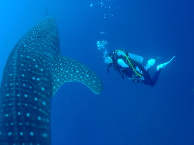 奥さん本当に動きまくりだし(笑)