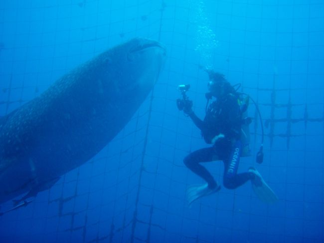 奥さん撮影ですが近くないですか！<br /><br />動画撮影禁止。<br />やらかして動画撮っちゃいました^^;<br />↓1:05<br />http://www.youtube.com/watch?v=XX_cmpJ4jgM