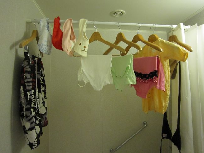 洗濯も出来たので良しとしようと思います。