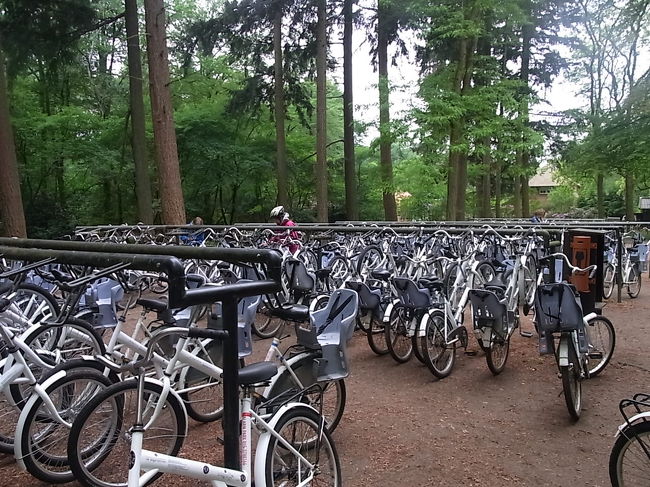 白い自転車で美術館を目指します。<br />子ども用の椅子が着いた自転車もあります。<br /><br />ちなみにブレーキは着いていません。<br />止まる時は漕ぐのをやめるか、ペダルを後ろに回します。<br /><br />一番小さい自転車で、サドルを一番低くしても１５８ｃｍの私はつま先が地面に着く程度でした。<br /><br />ゆっくり自転車を漕いで15分程度で美術館に着きました。