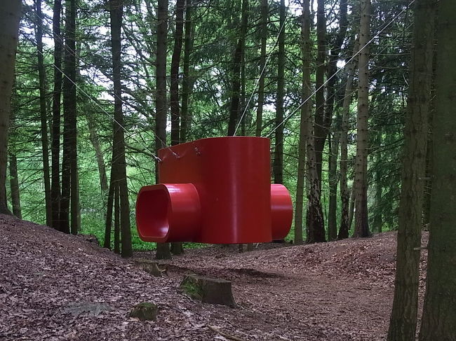 突然現れた木に吊ってあるオブジェ。