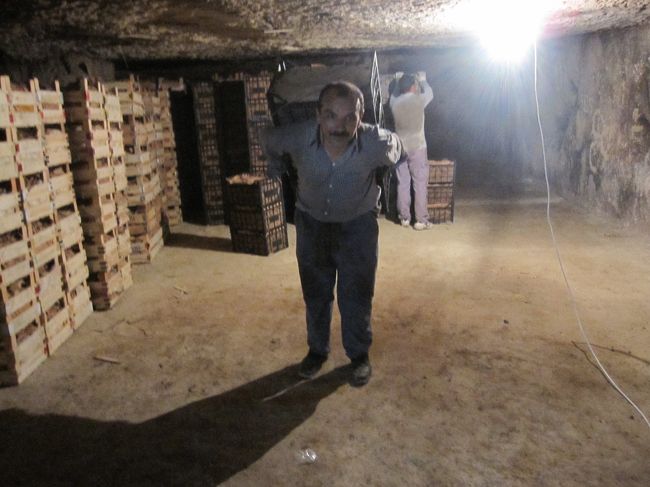 ローズバレーへの道を反対側に行くとオルタヒサルという町があり、そちらこちらに洞窟があり定温倉庫として使われていた。ここはレモンの倉庫。