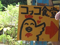 ３日目
ランチは昨年から気になっていた備瀬のふくぎ並木の中にある「コッコ食堂」