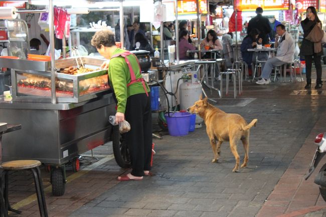 ホテル近くの夜市にて。<br />普通にでかい野良犬がうようよ。。。<br />犬嫌いの私にはとても辛かった笑